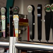 137Stingrays0C6A6266