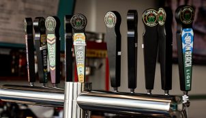 137Stingrays0C6A6266